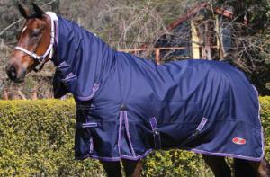 What type of rugging protection do you need for your horse?