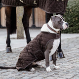 Kentucky Horsewear Dog Rug