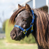 Eurohunter Halter