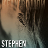 Retribution - Book 3 by Stephen Irwin