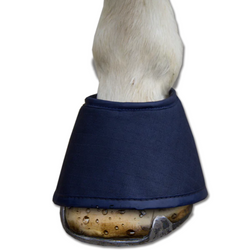 Horse's hoof with blue protective bell boot isolated on white.