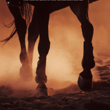 Untouchable - Book 4 by Stephen Irwin