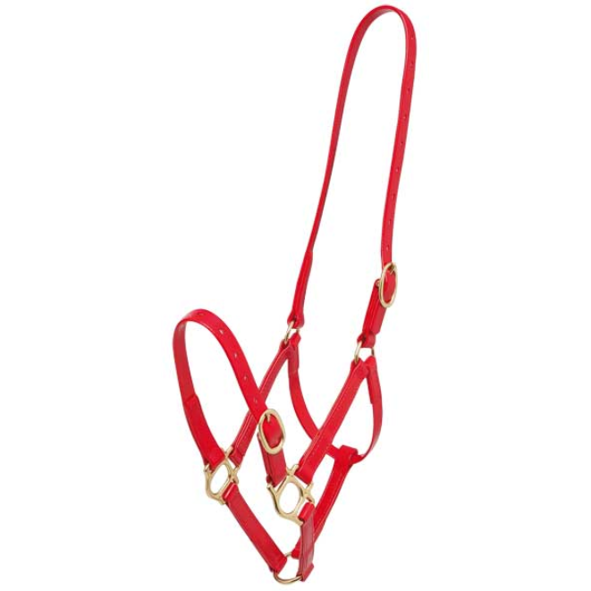 Zilco 3/4" PN Halter -  Zilco