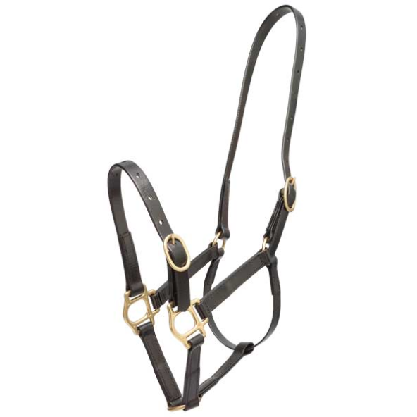 Zilco 3/4" PN Halter -  Zilco