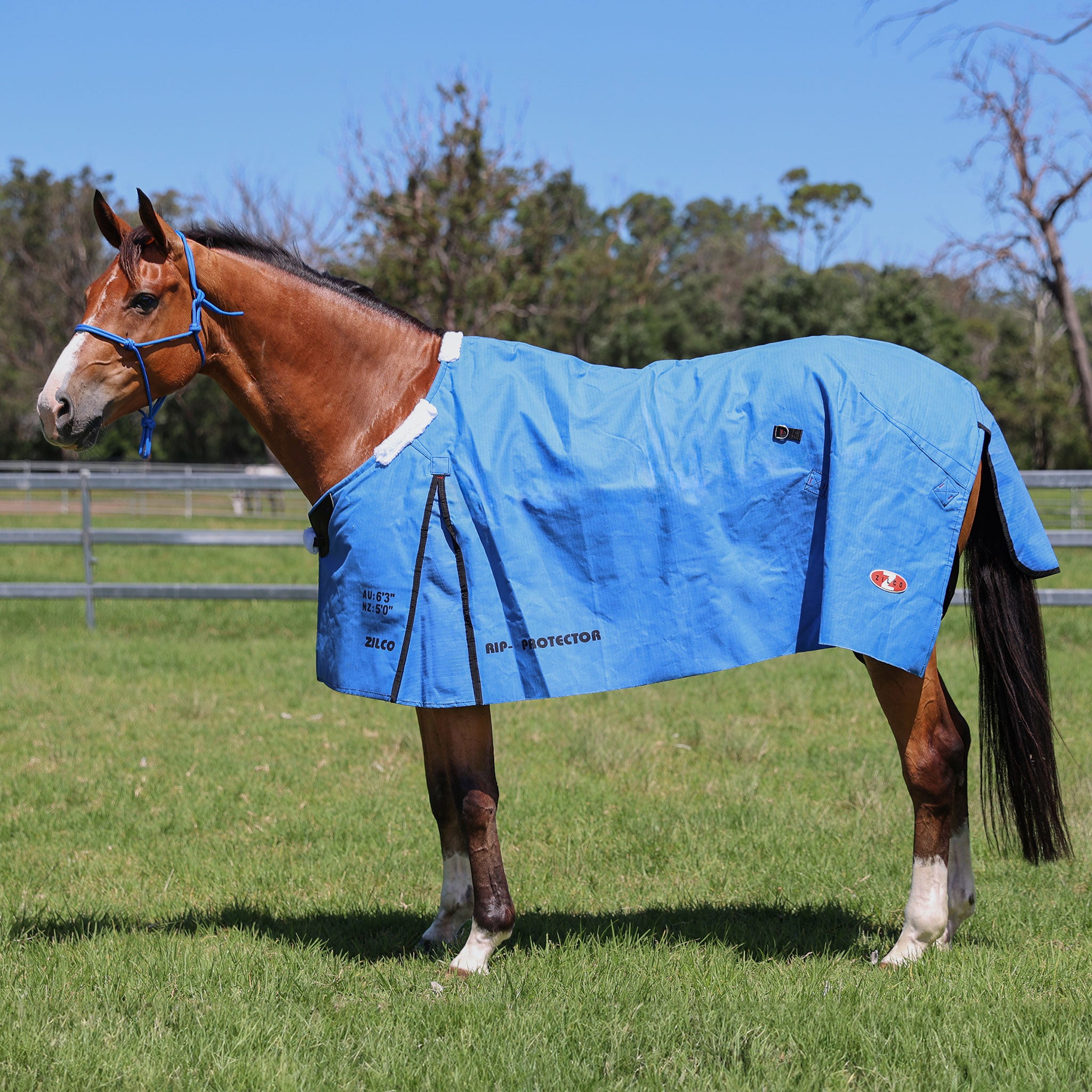 What type of rugging protection do you need for your horse?