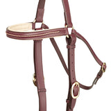 Bridle Oregon Barcoo Plait