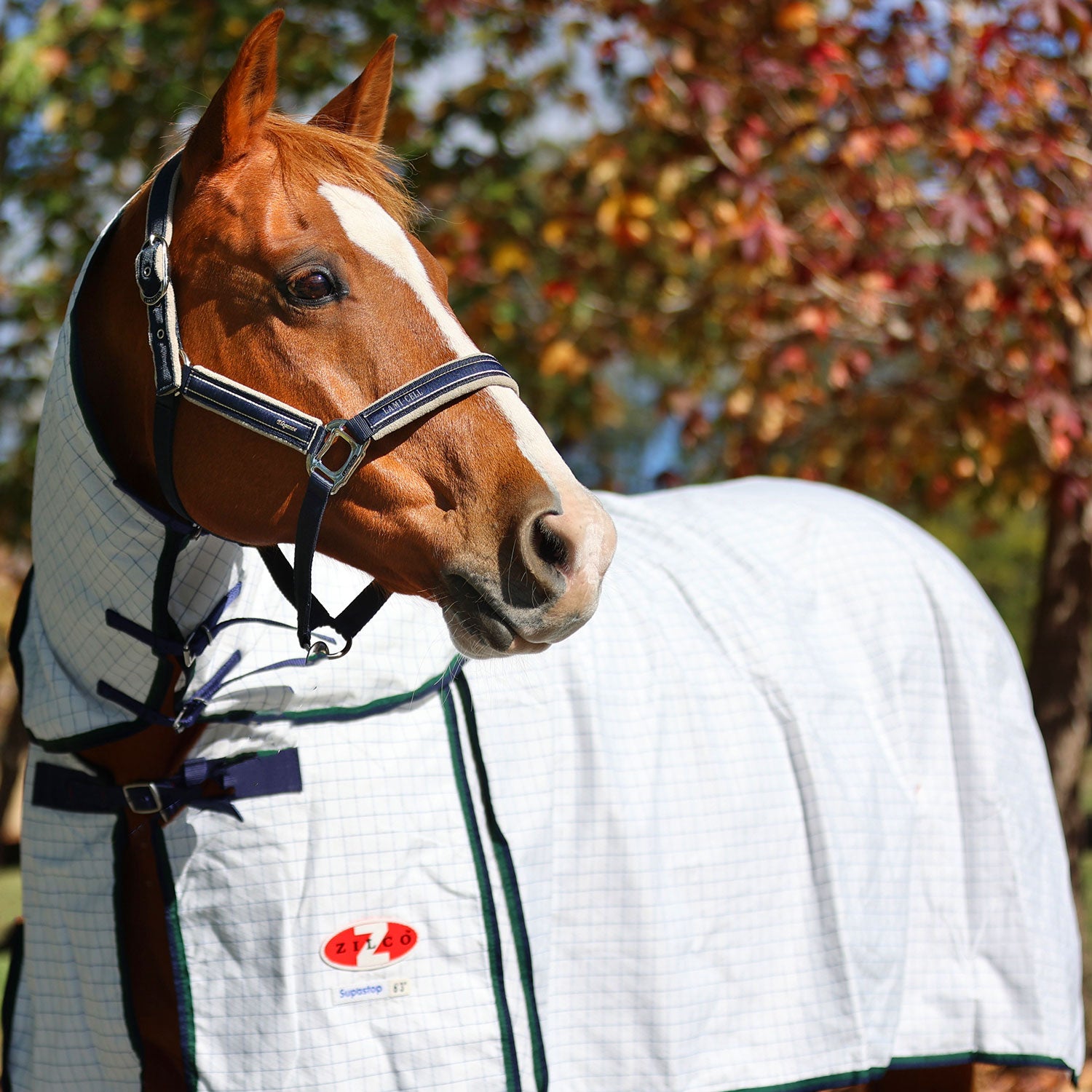 Zilco Rip Protector Rug Zilco Horse Rugs & Equestrian Gear - Winter, Summer, Show & More