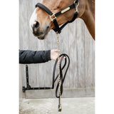 Kentucky Horsewear Leather Chain Lead  - 2.7m
