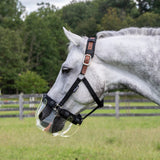 Flexible Filly Muzzle