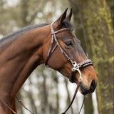 Trust Sopot Bridle With Hackamore