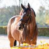 Trust Falsterbo T-motion Bridle