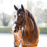 Trust Falsterbo T-motion Bridle