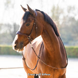 Trust Falsterbo T-motion Bridle