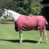 Zilco Explorer 200 Rug