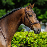 Trust Falsterbo T-motion Bridle