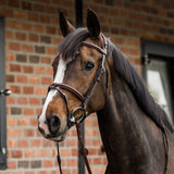 Trust Geneva Convertible Hanoverian Bridle