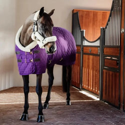 Kentucky Horsewear Show Rug -160g - Royal Purple