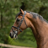 Trust Geneva Convertible Hanoverian Bridle