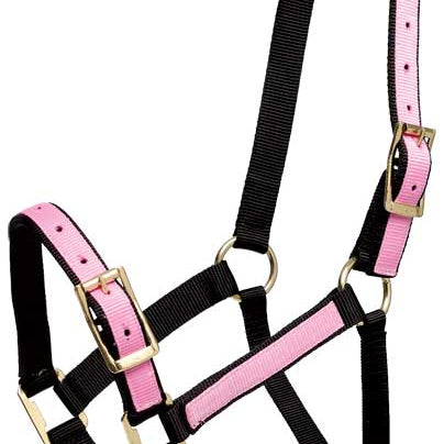 Halter Overlay