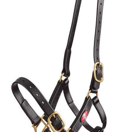 Zilco 25mm PN Halter