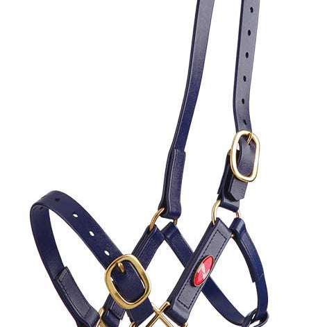 Zilco 25mm PN Halter