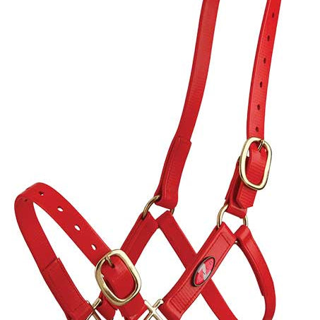 Zilco 25mm PN Halter