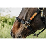 Kentucky Horsewear Control Halter - Nylon