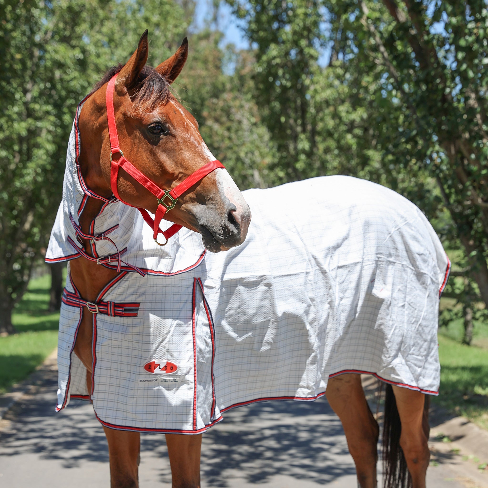 Zilco Rip Protector Rug Zilco Horse Rugs & Equestrian Gear - Winter, Summer, Show & More