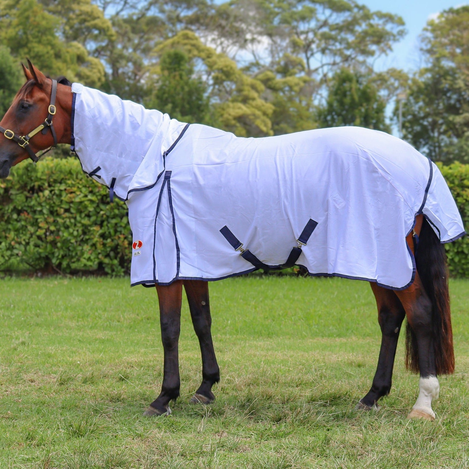 Zilco Rip Protector Rug Zilco Horse Rugs & Equestrian Gear - Winter, Summer, Show & More