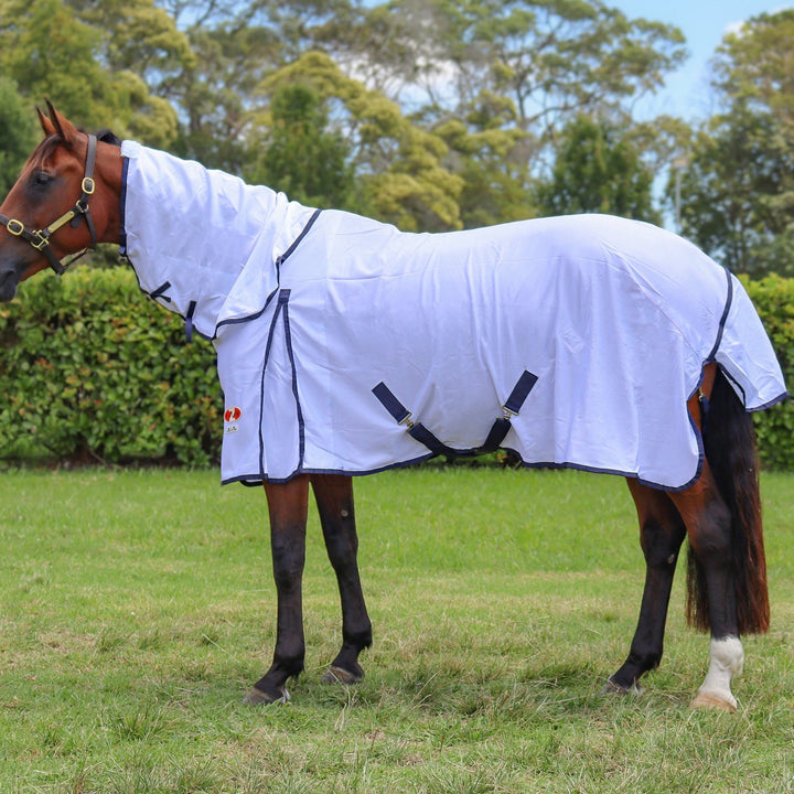 Zilco Horse Rugs & Equestrian Gear - Winter, Summer, Show & More