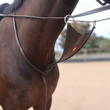 Equipe Martingale with Bib BP09