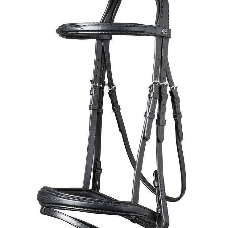 Trust Amsterdam Bridle