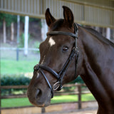 Airtime Anatomic Fancy Stitched Bridle