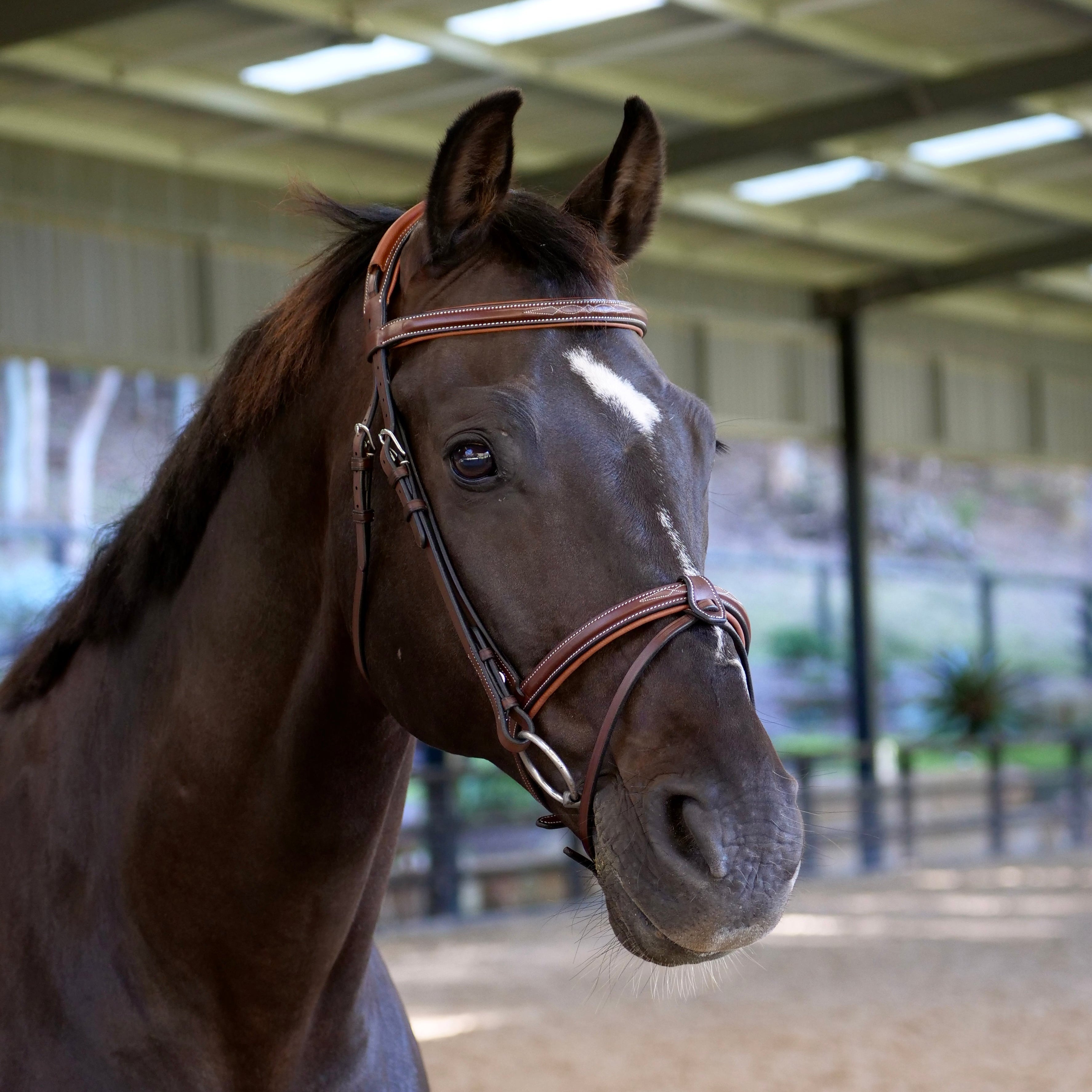 Airtime Anatomic Fancy Stitched Bridle