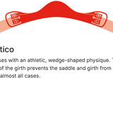 Mattes Athletico Leather Girth
