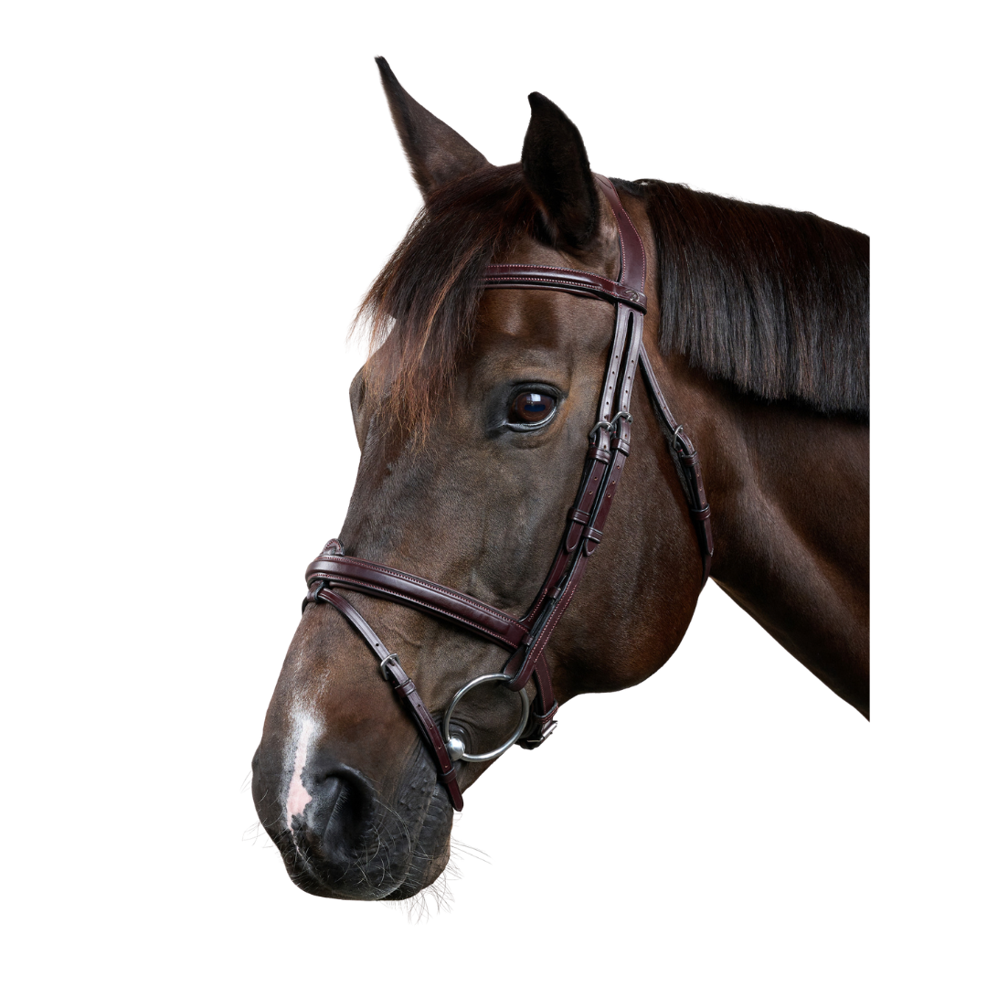 Dy’on New English Collection Flash Noseband Bridle