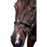 Dy’on New English Collection Flash Noseband Bridle