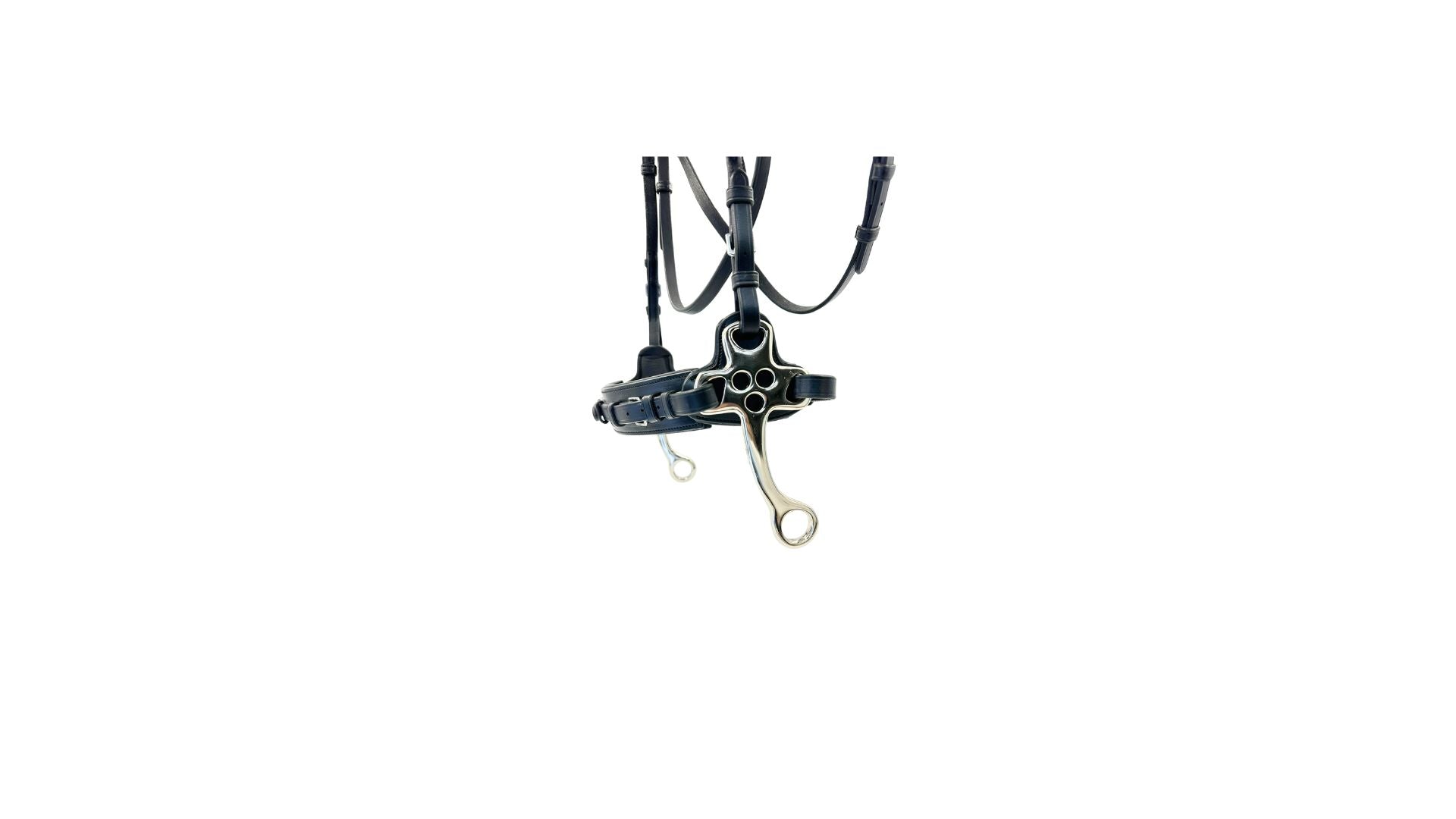 Trust Sopot Bridle With Hackamore