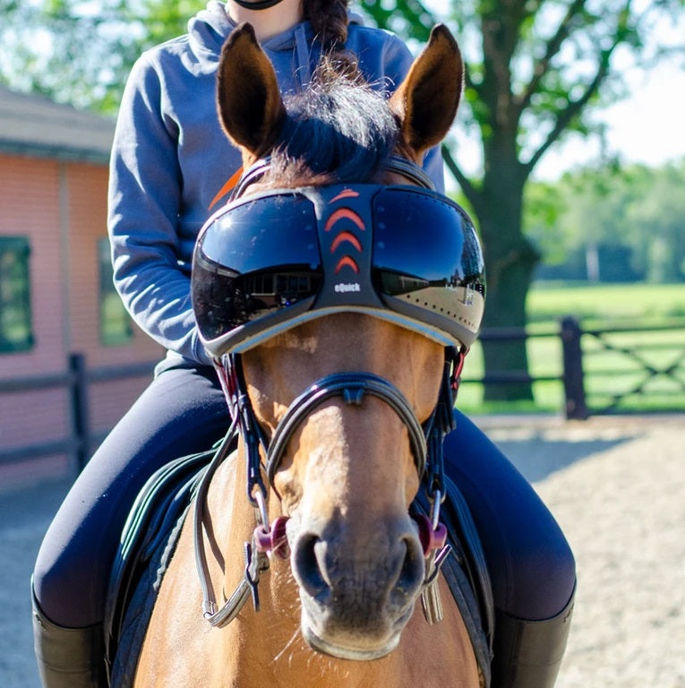 horse with goggles eQuick eVysor