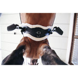 Kentucky Sheepskin Anatomic Short Girth