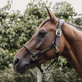 Kentucky Horsewear Anatomic Halter