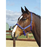 Academy Halter