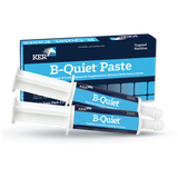 B-Quiet® Paste - Twin Pack