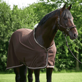 CA Coolite Rug