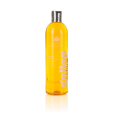Carr & Day & Martin Gallop Colour Shampoo