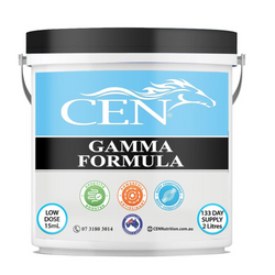 CEN Gamma Formula