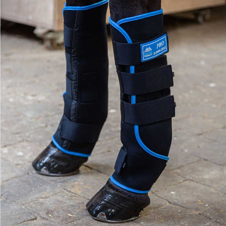 Lami-Cell Pro Ice Boots