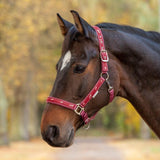Waldhausen Little Horses Halter