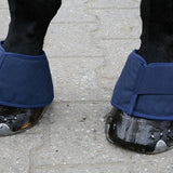 Horse's hooves fitted with blue protective boots on pavement.