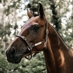 Kentucky Horsewear Leather Halter - Flexible
